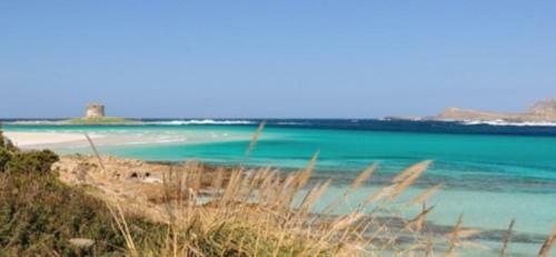 Apartamento Appartamento La Pelosa