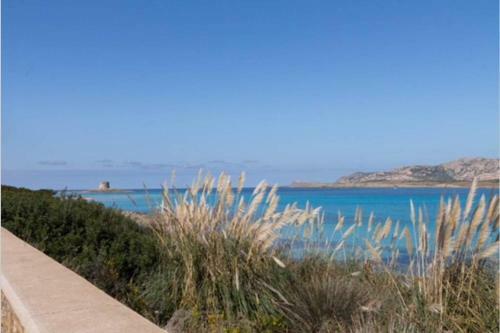 Stintino Villa Turchese Sardinia