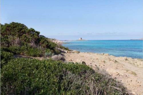 Stintino Villa Turchese Sardinia