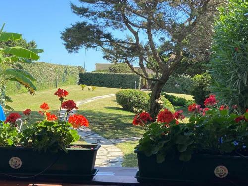 Pelosa - Capo Falcone Excellent Apartment