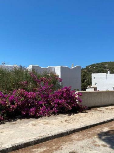 Apartamento Studio Es Vedra