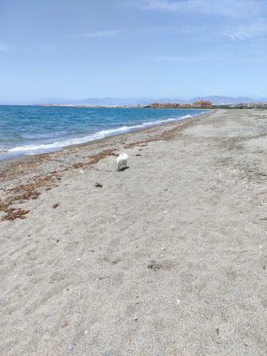 Apartamento Puerto Deportivo Almerimar