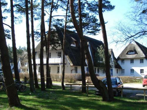 Apartamento Zingst Achtern Diek 12d Elly