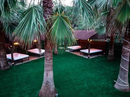 Lodge Caribbean Home