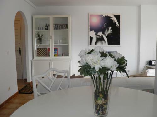 Blue Canal Apartment Ampuriabrava