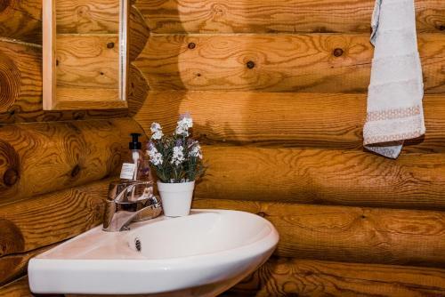 Lodge K�lmam�e Puhkemaja