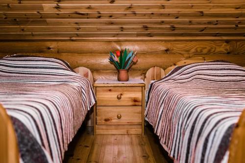 Lodge K�lmam�e Puhkemaja