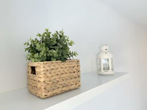 Apartamento 1� Linea De Mar -wifi- Aire Acondicionado