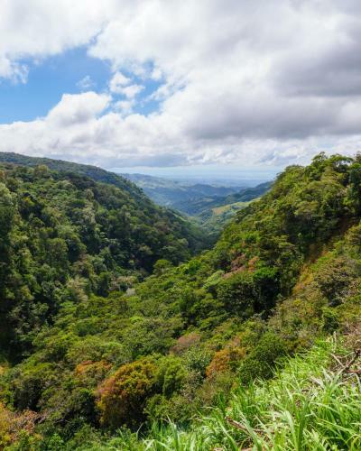Apartamento House Cattleya Monteverde