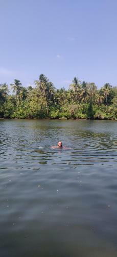 Bed & Breakfast Poonthanam Homestay