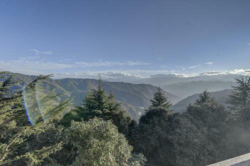 Hotel Tarika Resort & Spa - Chail