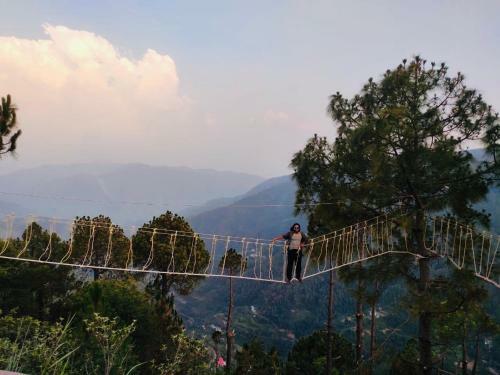 Hotel Snowdrop Eco Resort