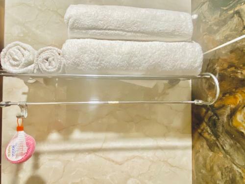 The Radiance Regency A Boutique Hotel