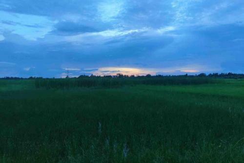 Villa Charming 3bhkgarden Bungalow With Rooftop Jacuzzi