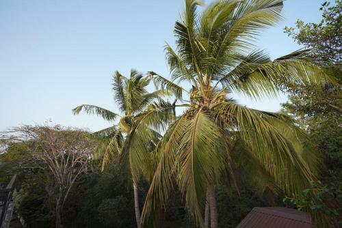 Eko Stay- Oceania Villas