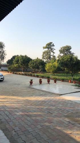 Agroturismo Peacefull Farm