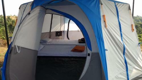 Savli Farms Camping And Adventures
