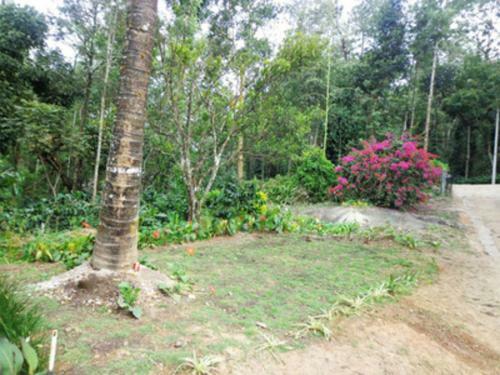Tripthrill Karemane Homestay