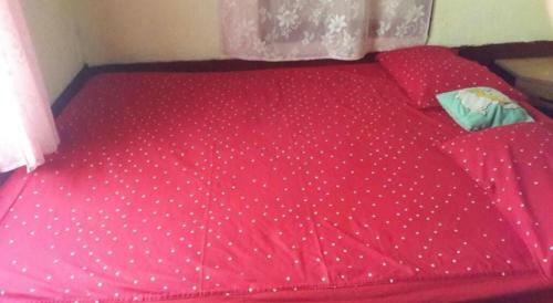 Tripthrill Karemane Homestay