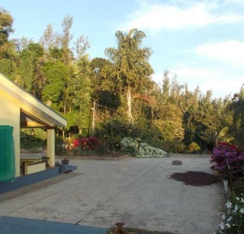 Tripthrill Mavina Halli Homestay