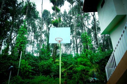 Lakeview Nest Homestay