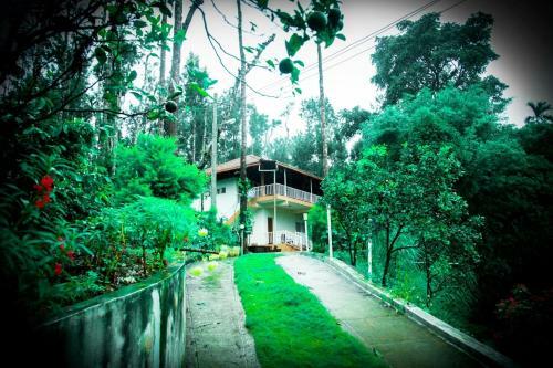 Lakeview Nest Homestay