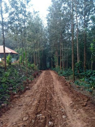 The Wildbliss Homestay
