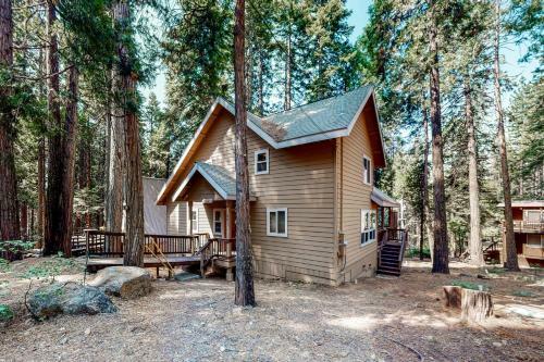 Pine Tree Lodge