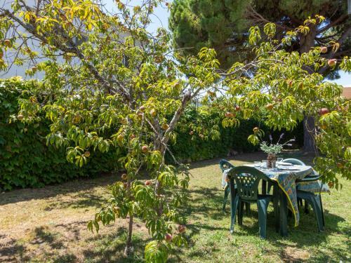 Apartment Requesens 160