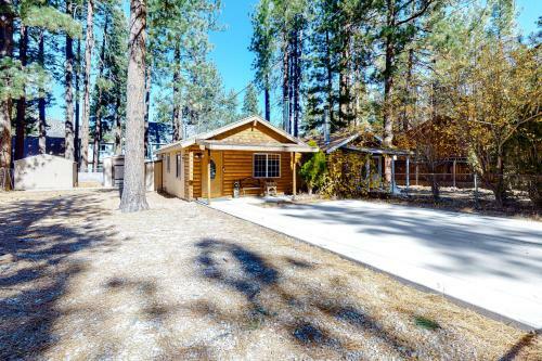 Aurora Bear Cabin