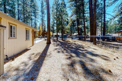 Aurora Bear Cabin