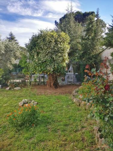 Agroturismo La Casita de Chozas