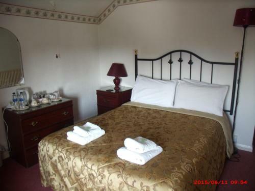 Hostal The Golden Lion Hotel