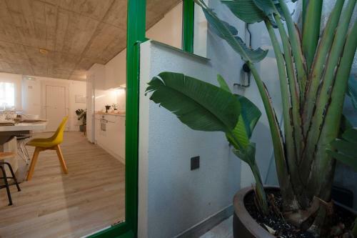 Apartamento El Puerto Viejo