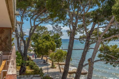 Cala San Vicente - 3671 Mallorca