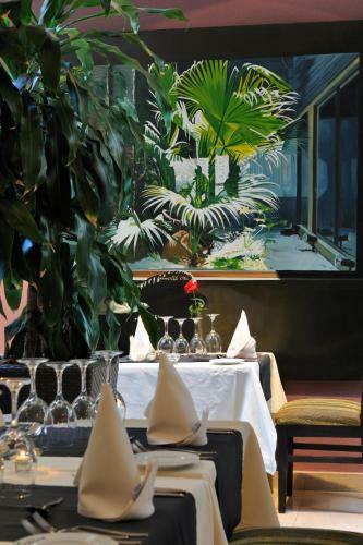 Hotel Marylanza Suites & Spa