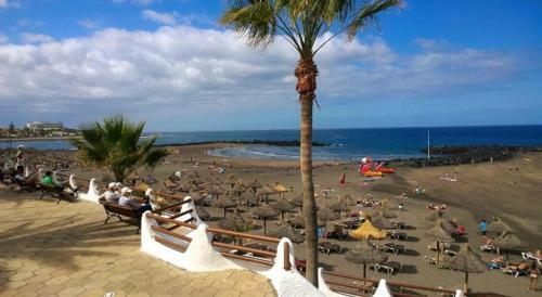 Apartamento Beachfront Studio Las Americas