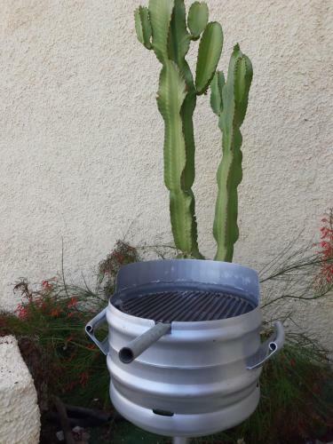 Apartamento El Cortijo Luxury