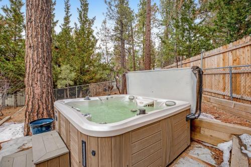 Big Bear Escape