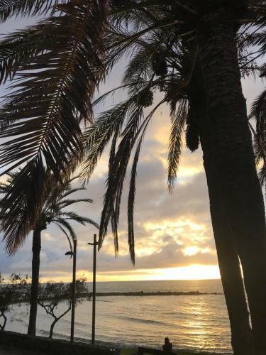 Beach Life 365 Apartment