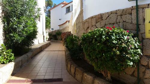 Large Terrace Studio In Center Of Las Americas