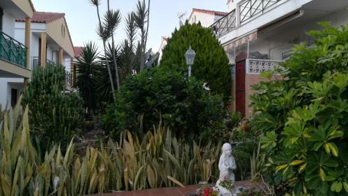 Apartamento Tenerife Altamar Paradise