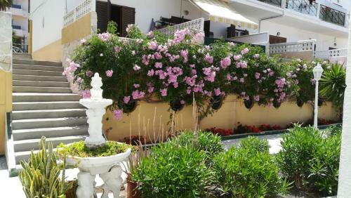 Apartamento Tenerife Altamar Paradise