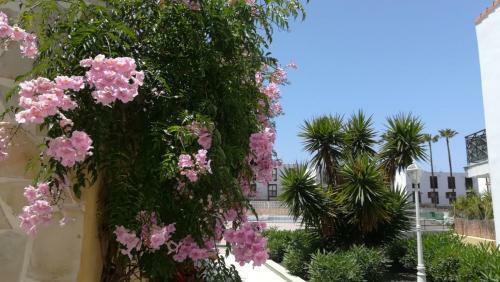 Apartamento Tenerife Altamar Paradise