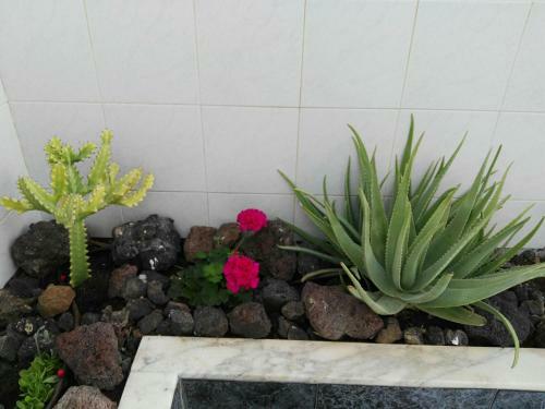 Apartamento Tenerife Pearl