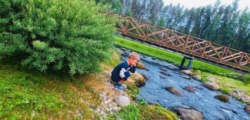 Orup�hja K�mpingud Ja Telkimisala