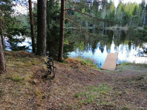 Lodge Ainja Puhkemaja