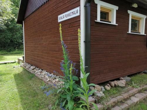 Lodge Ainja Puhkemaja