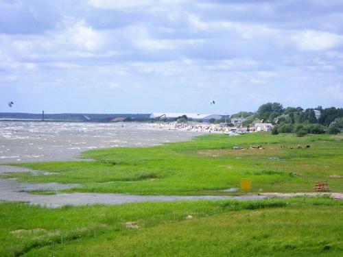 Apartamento Ruudu K�laliskorter