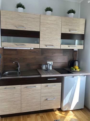 P�rnu V�ike-j�e Apartment